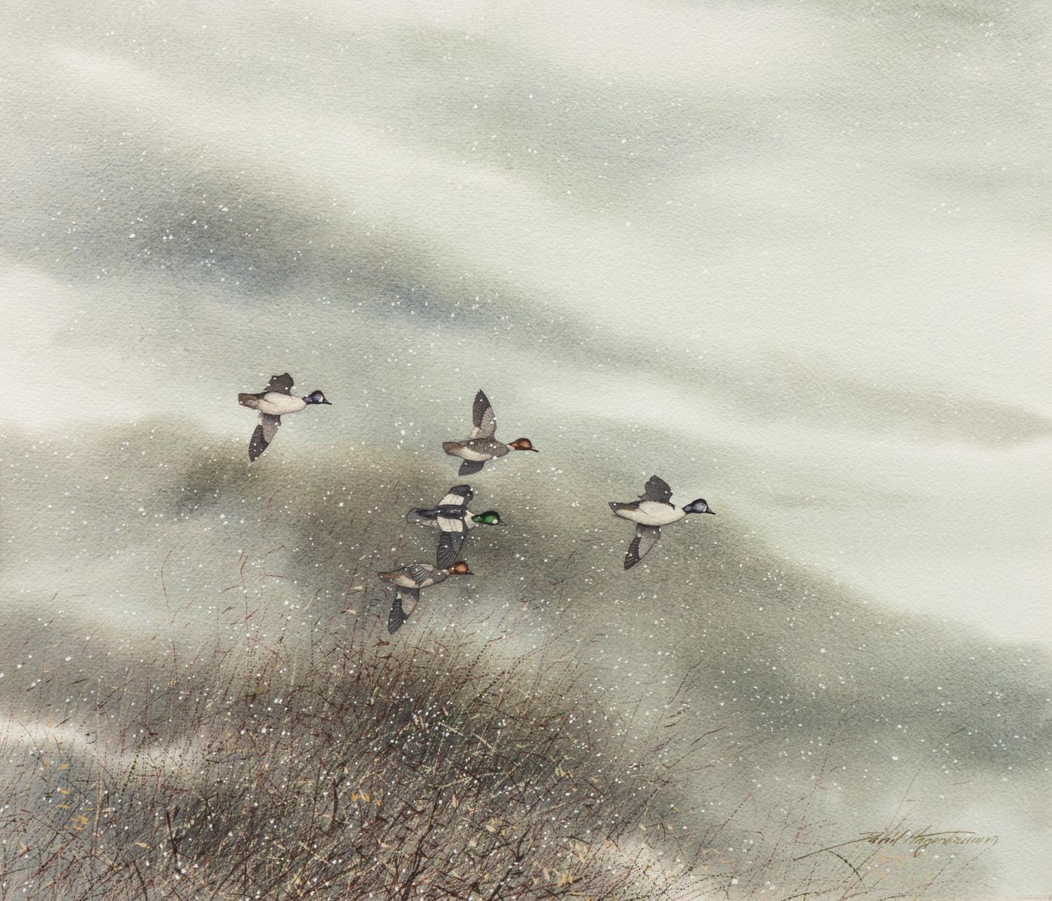 Five Ducks in the Snow