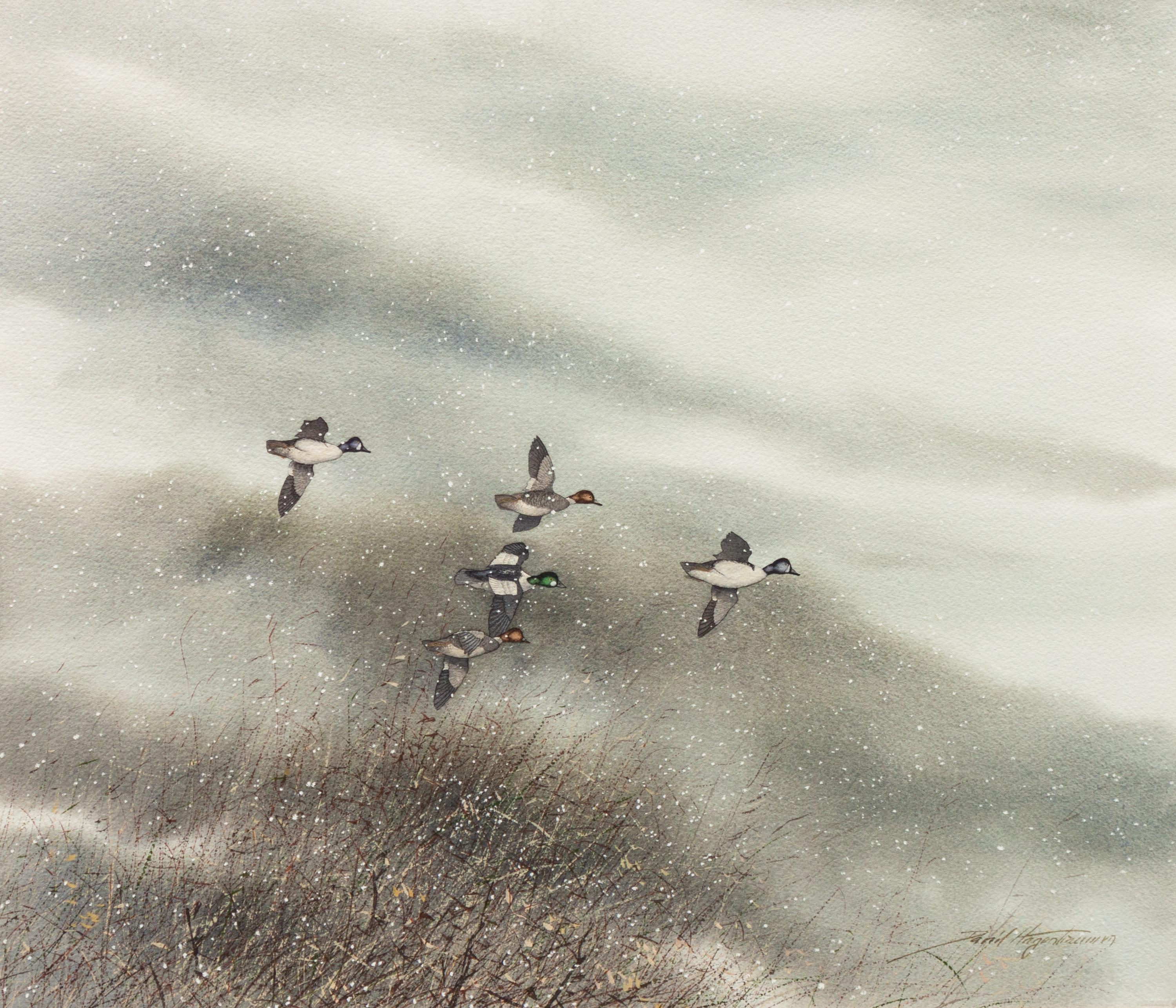 Five Ducks in the Snow