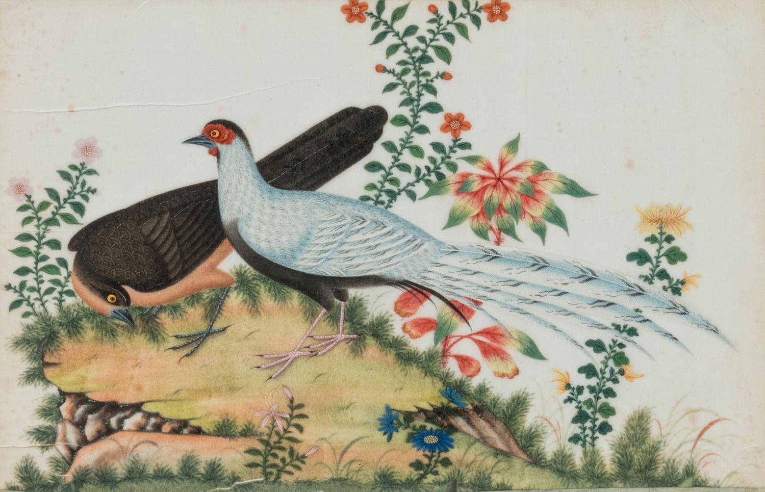 Six Chinese Export Pith Paintings