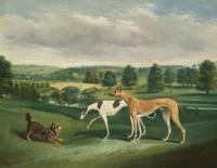 John Charles Maggs (British 1819-1895) - Terrier and Greyhounds