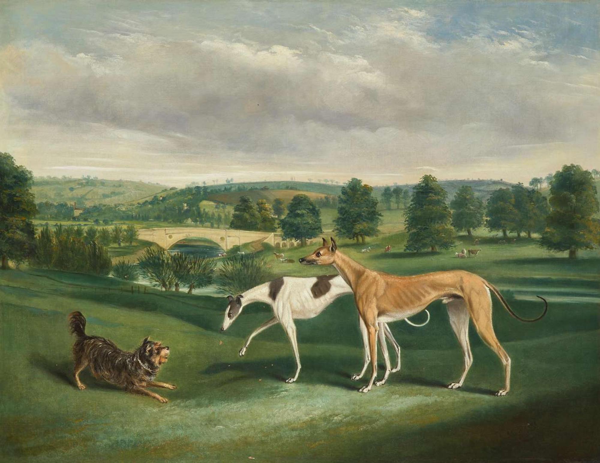 John Charles Maggs (British 1819-1895) - Terrier and Greyhounds