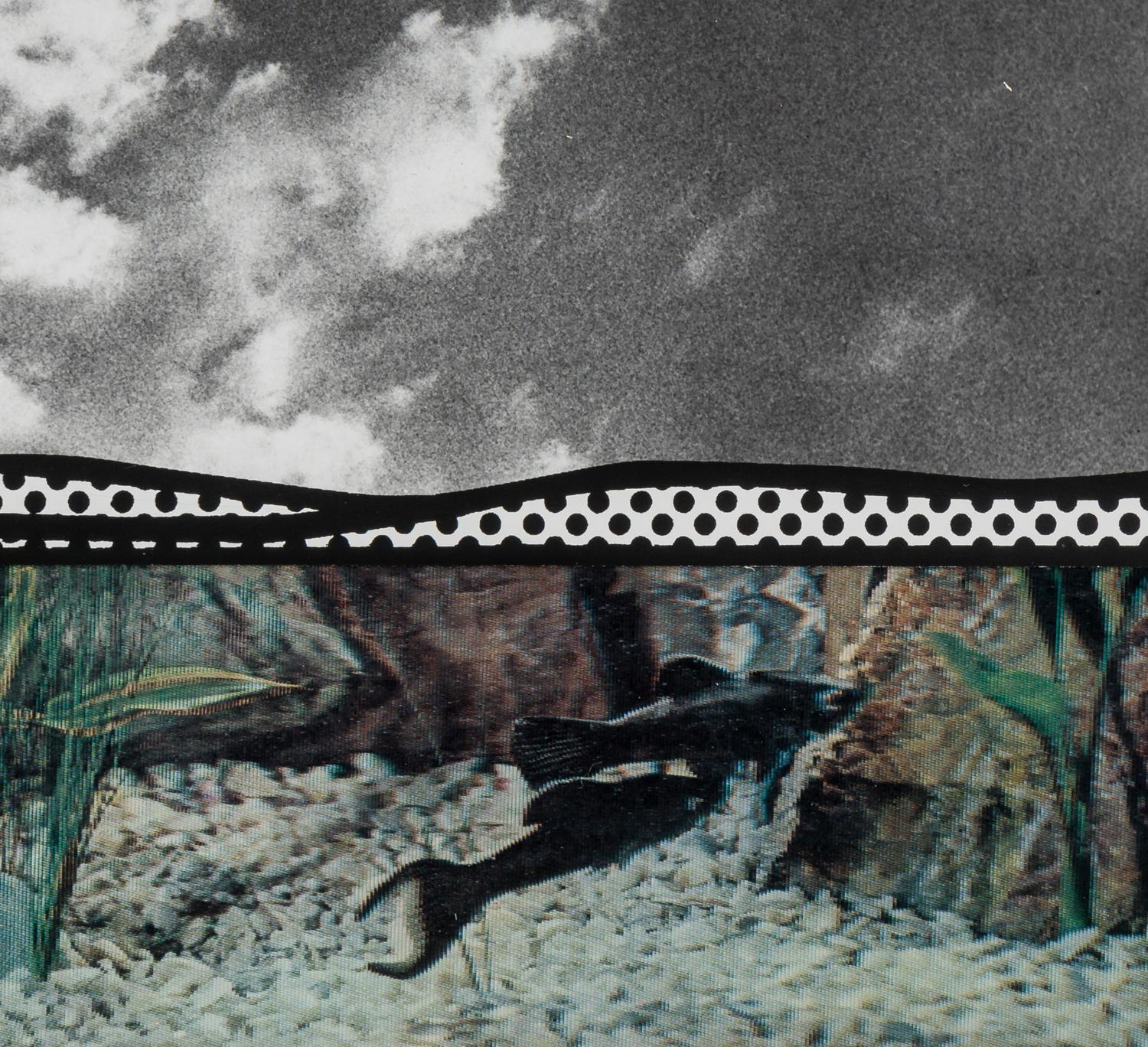 Fish and Sky (from Ten from Leo Castelli )