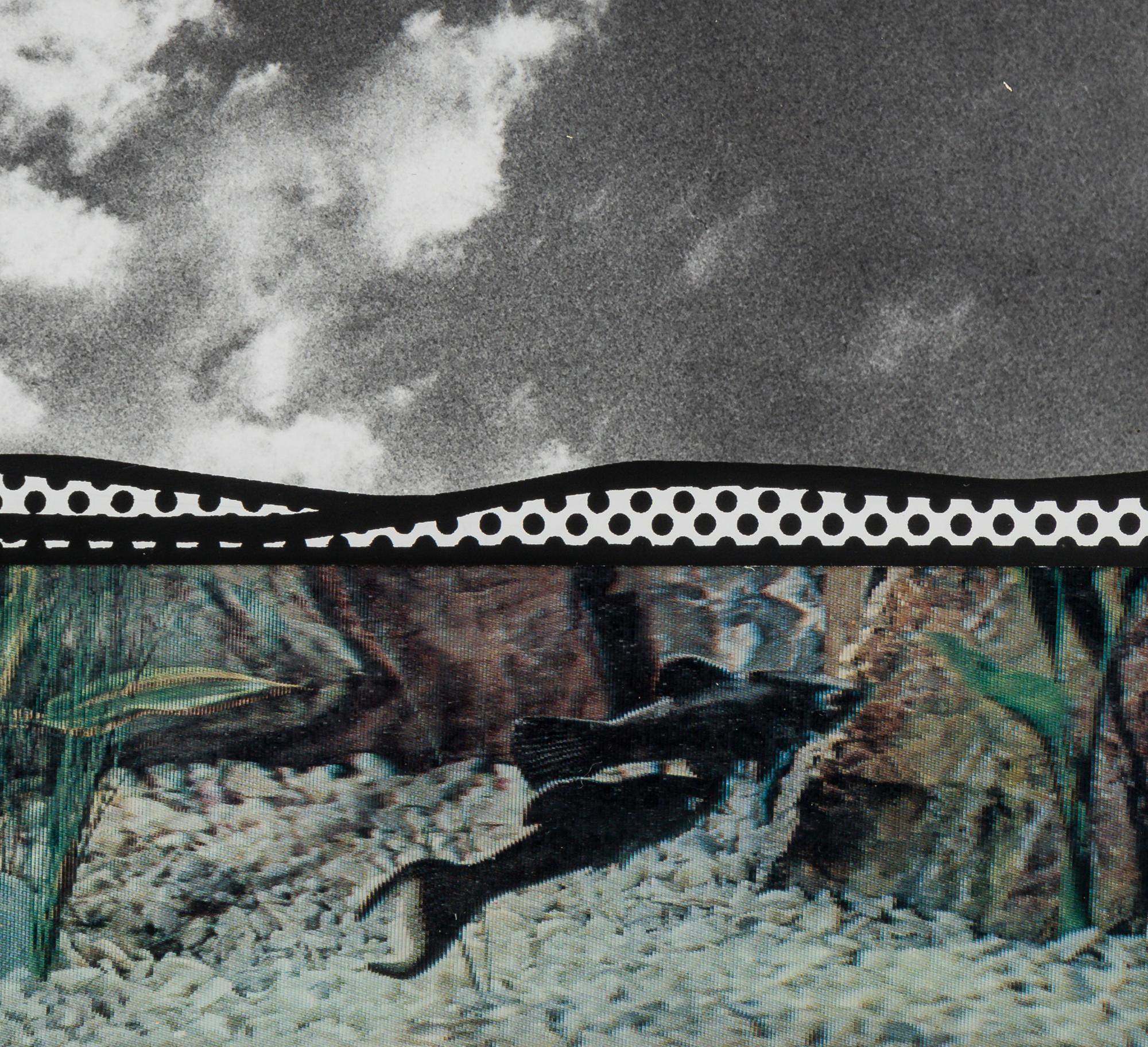 Fish and Sky (from Ten from Leo Castelli )