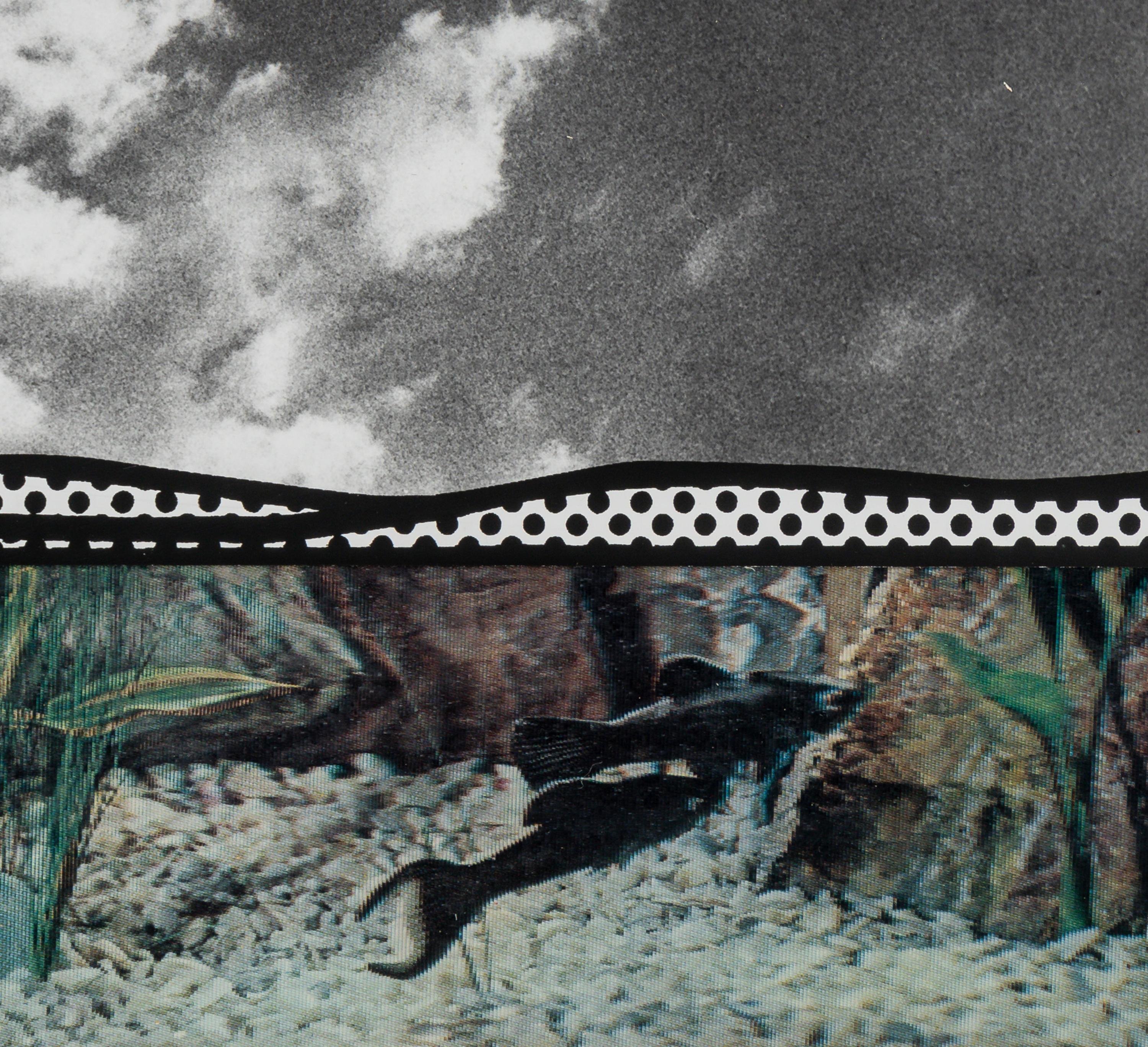 Fish and Sky (from Ten from Leo Castelli )