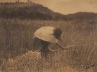 Edward S. Curtis (1868-1952) The Apache Reaper, 1906