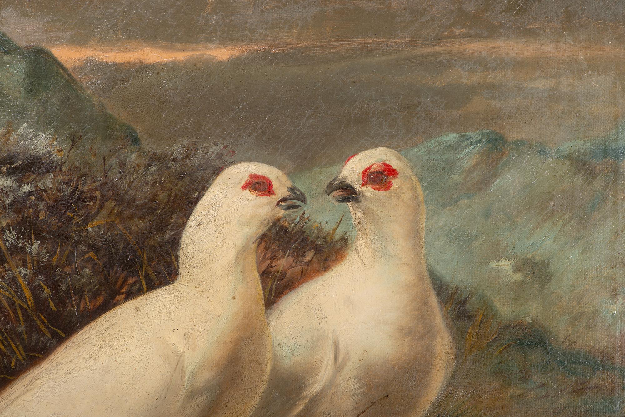 Pair of Doves
