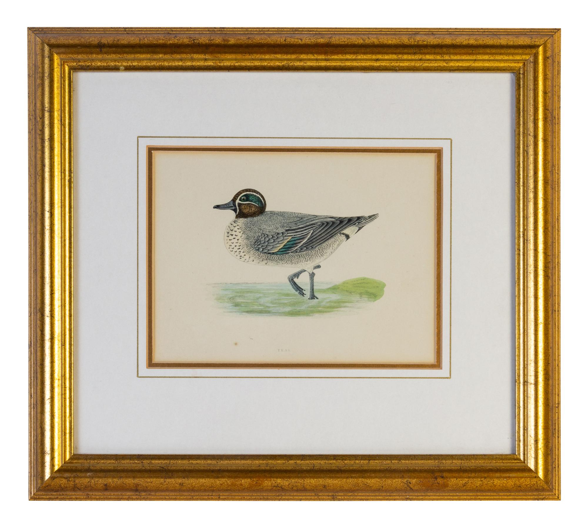 A Group of Twelve Framed Ornithological Prints