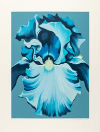 Eight prints (with portfolio case), 1980-1985