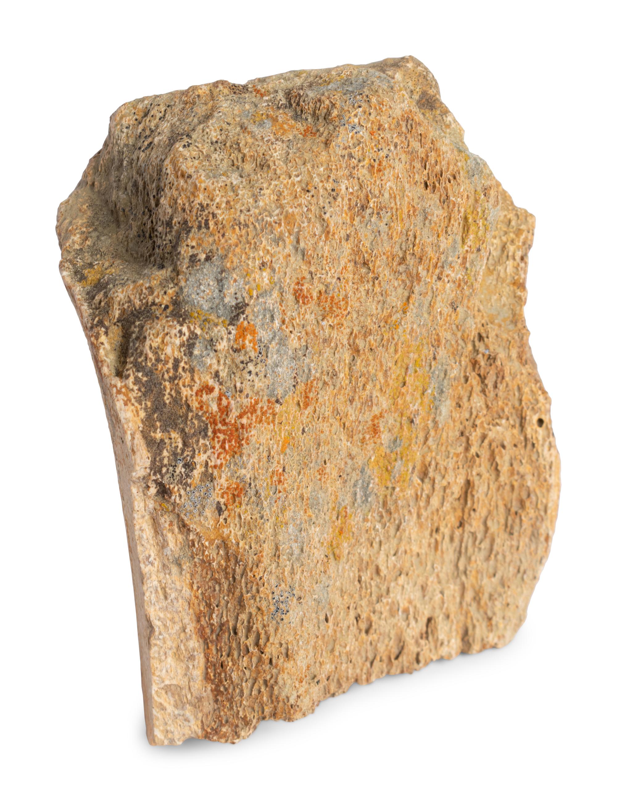 (History) A group of materials relating to dinosaurs, comprising:
