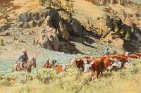 South Fork Of The Shoshone