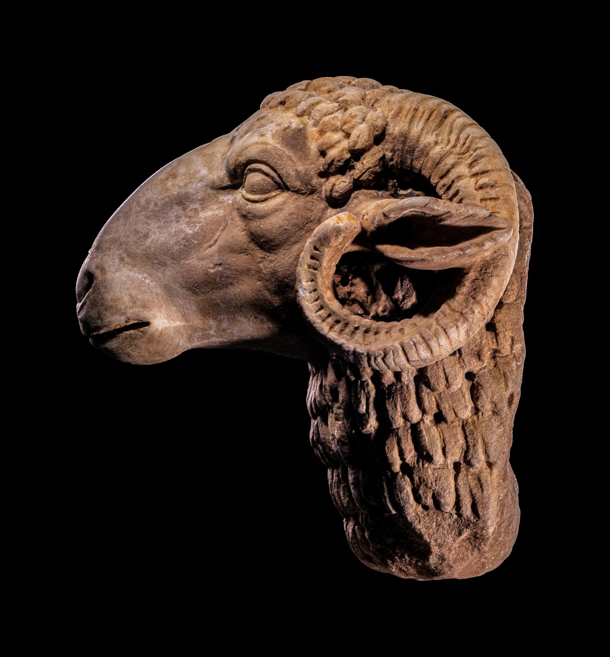 A Roman Marble Head of a Ram