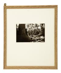 Three Works