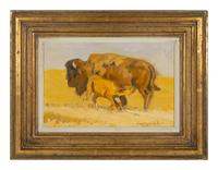 Cow Bison with Nursing Calf