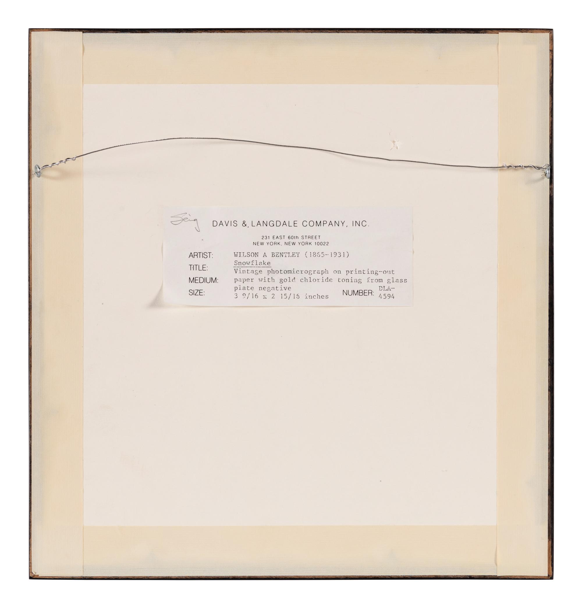 Snowflake , 1885-1931