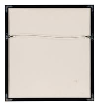 Spackle (from Harvey Gannt Portfolio ), 1990