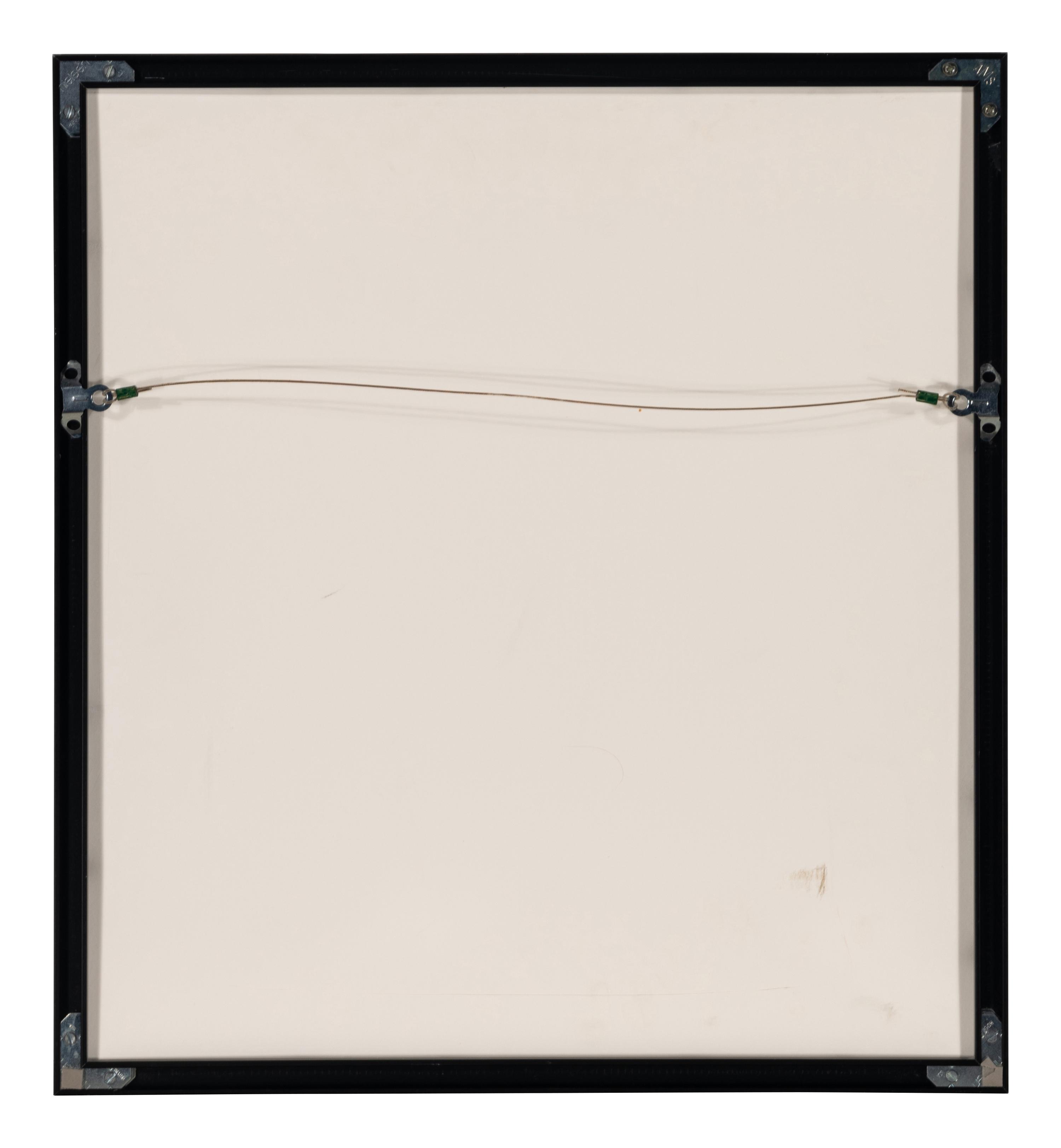 Spackle (from Harvey Gannt Portfolio ), 1990