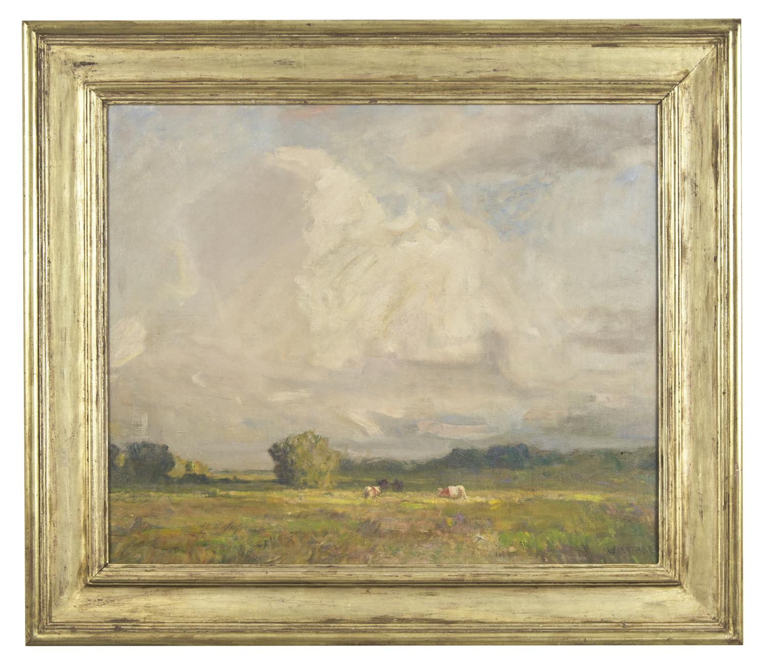 Summer Meadow