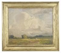 Summer Meadow