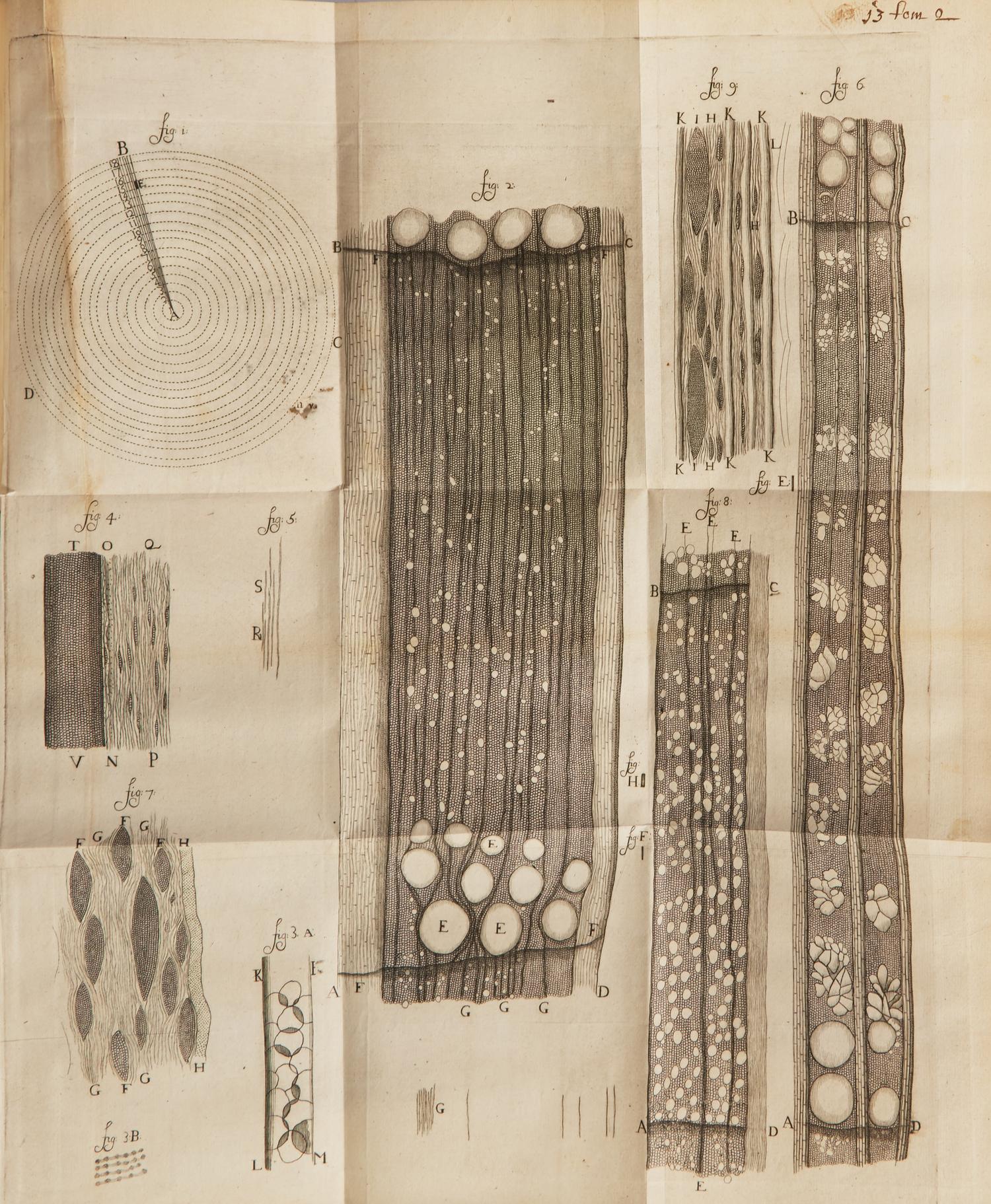[Science, Medicine & Mathematics] Leeuwenhoek, Anton von. Anatomia Seu Interiora Rerum , Cum Animatarum tum Inanimatarum, Ope & beneficio exquisitissimorum Microscopiorum...