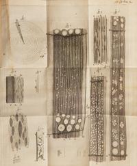 [Science, Medicine & Mathematics] Leeuwenhoek, Anton von. Anatomia Seu Interiora Rerum , Cum Animatarum tum Inanimatarum, Ope & beneficio exquisitissimorum Microscopiorum...