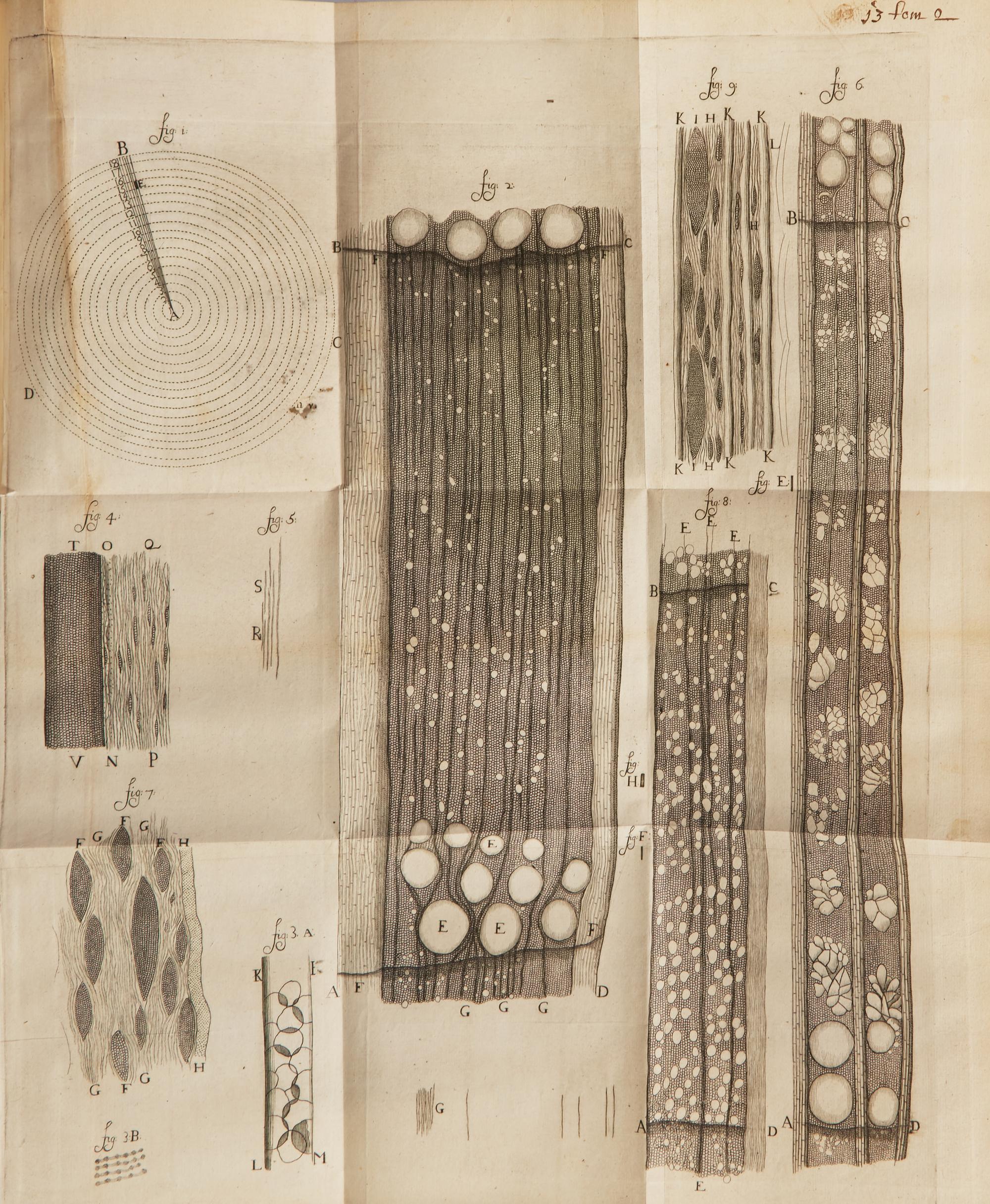 [Science, Medicine & Mathematics] Leeuwenhoek, Anton von. Anatomia Seu Interiora Rerum , Cum Animatarum tum Inanimatarum, Ope & beneficio exquisitissimorum Microscopiorum...