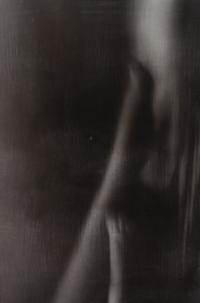 Roger Newton, (American, b. 1960), Commodity Fetish, 1995