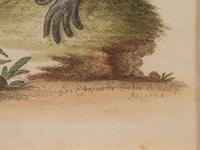 A Group of Six Continental Engravings Depicting Primates (Second Half 19th Century)