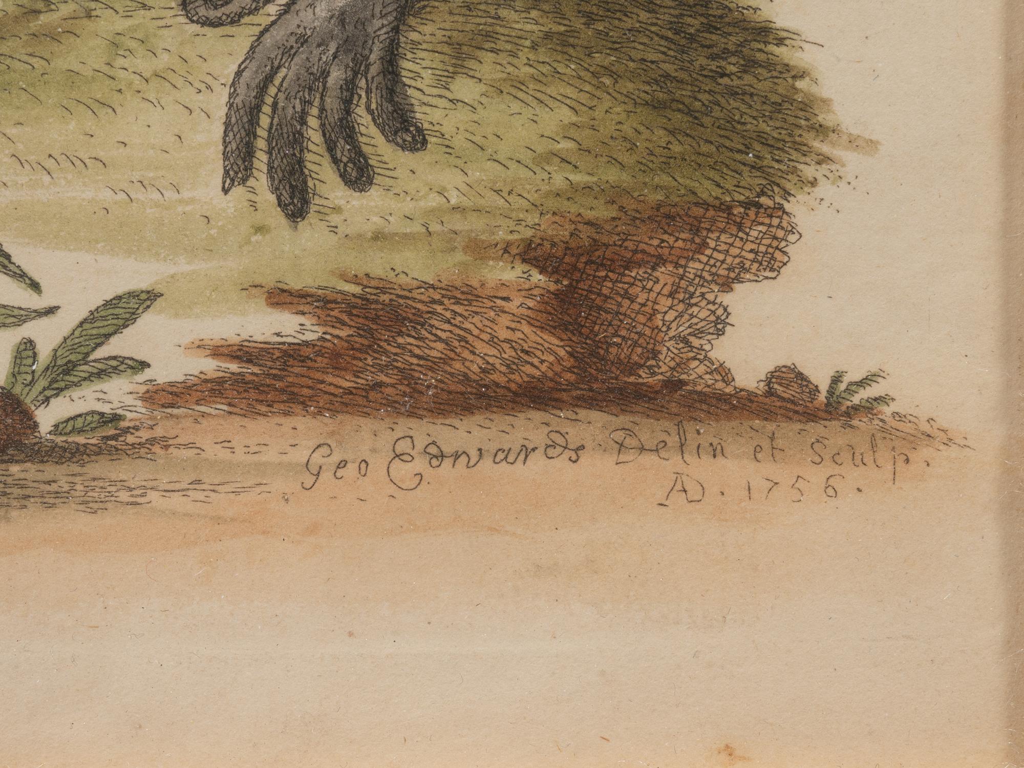 A Group of Six Continental Engravings Depicting Primates (Second Half 19th Century)