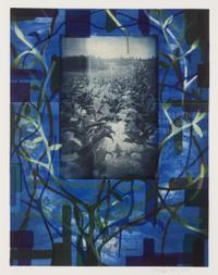 Tobacco Blues , 2000