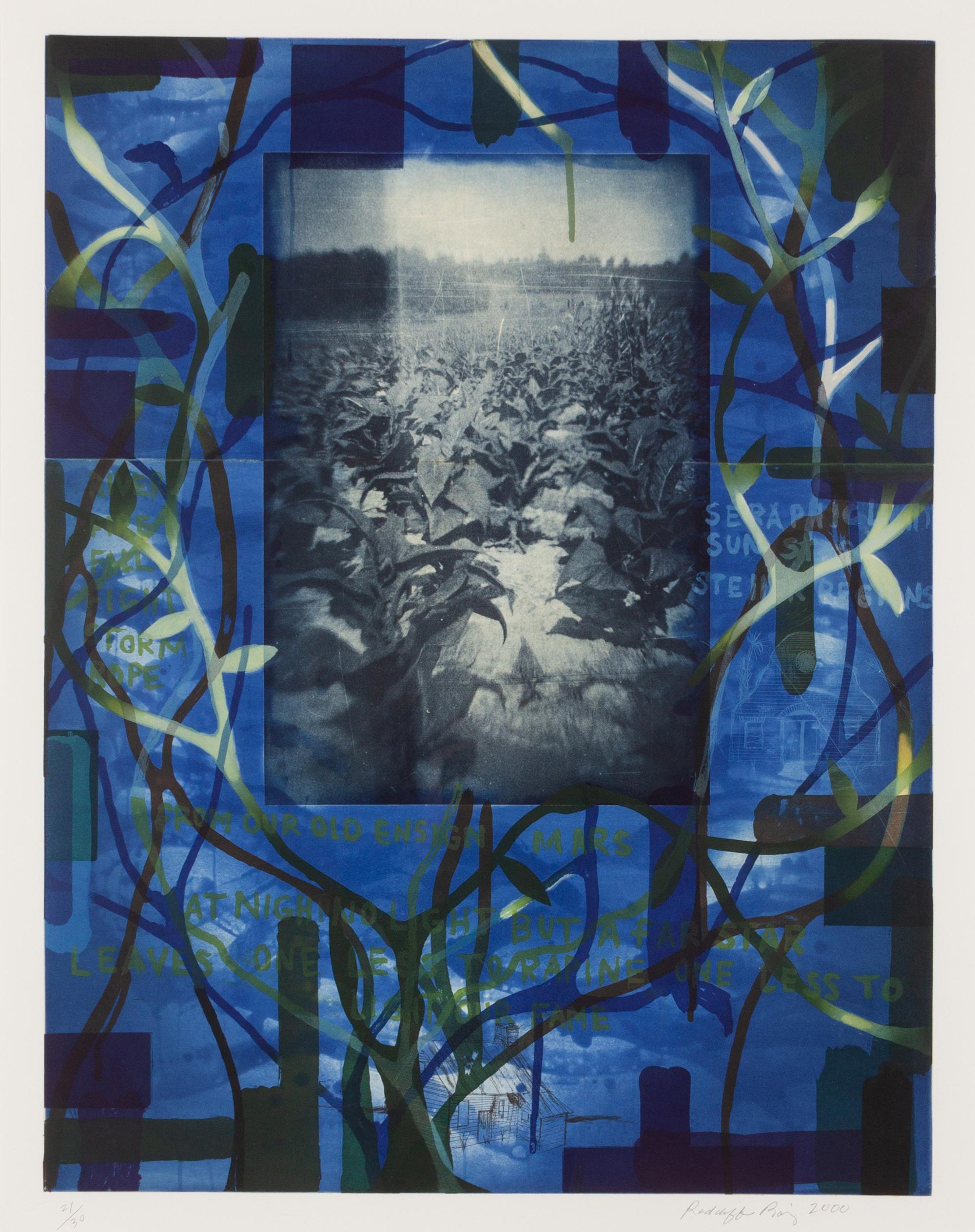 Tobacco Blues , 2000
