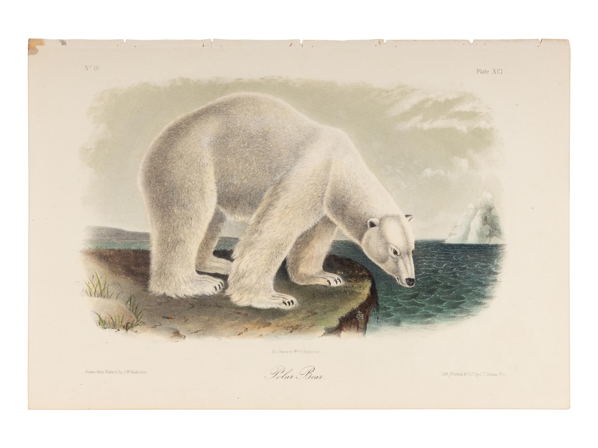 AUDUBON, John James (1785-1851), after. A group of 190 octavo-format lithographs, including: