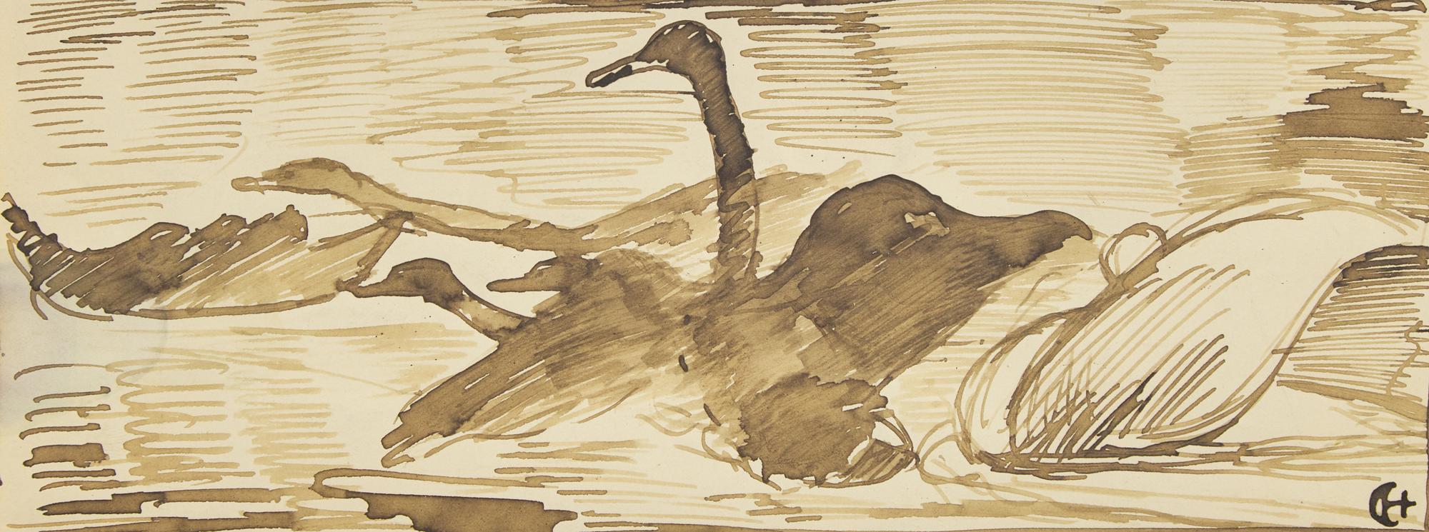 Cygnes