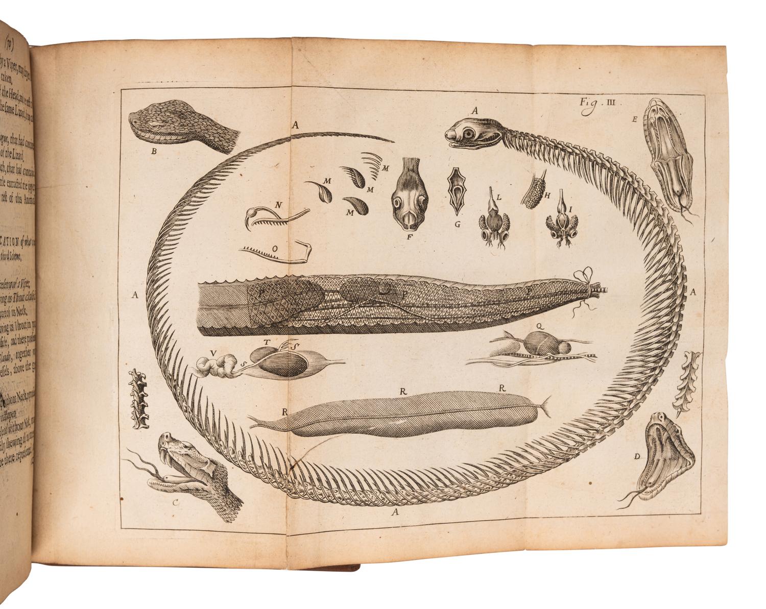 CHARAS, Moyse (1618-1698). New Experiments upon Vipers . London: Printed by T. N. for J. Martyn, 1670.