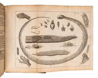 CHARAS, Moyse (1618-1698). New Experiments upon Vipers . London: Printed by T. N. for J. Martyn, 1670.