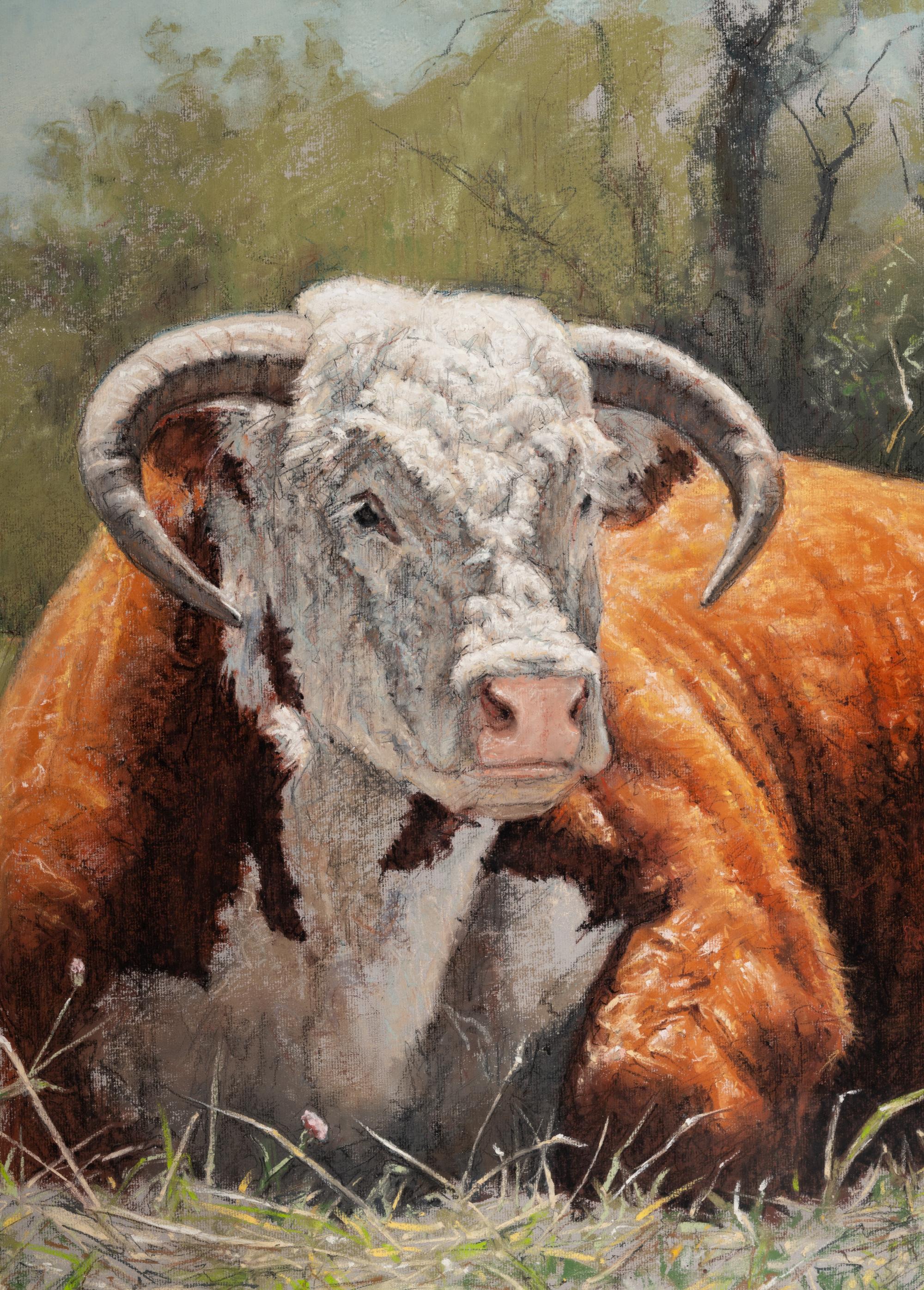 Lazy Steer
