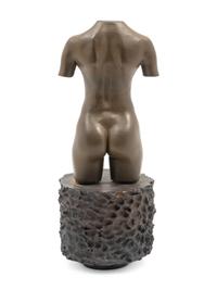 MOCA Torso
