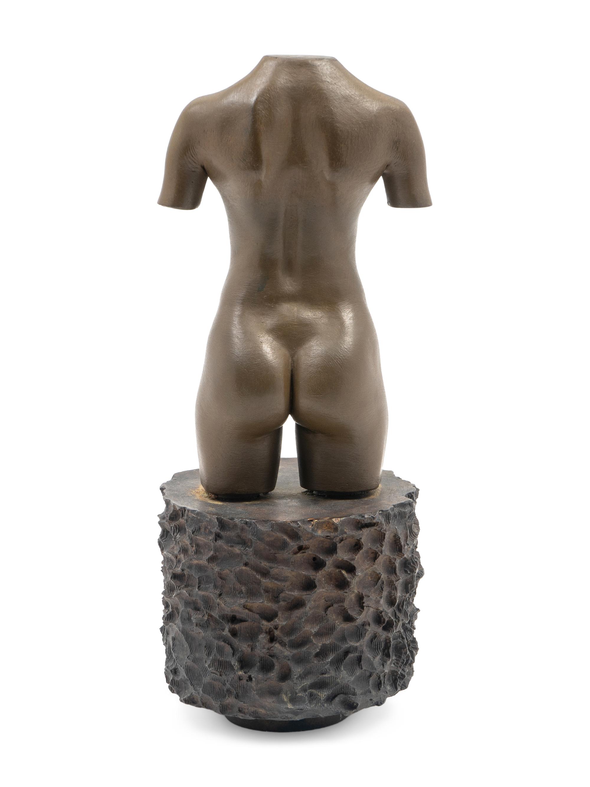 MOCA Torso