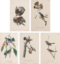 Five J.T Bowen Hand Colored Lithographs