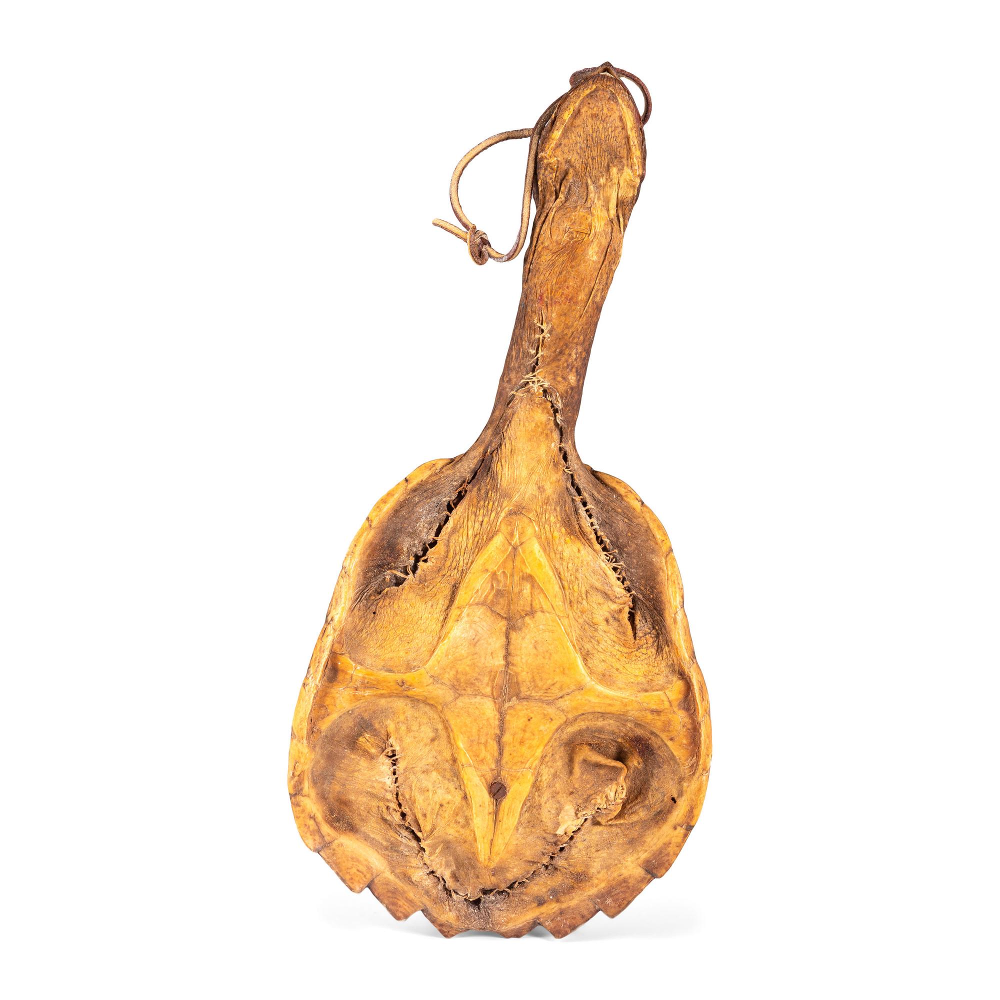Haudenosaunee Turtle Rattle