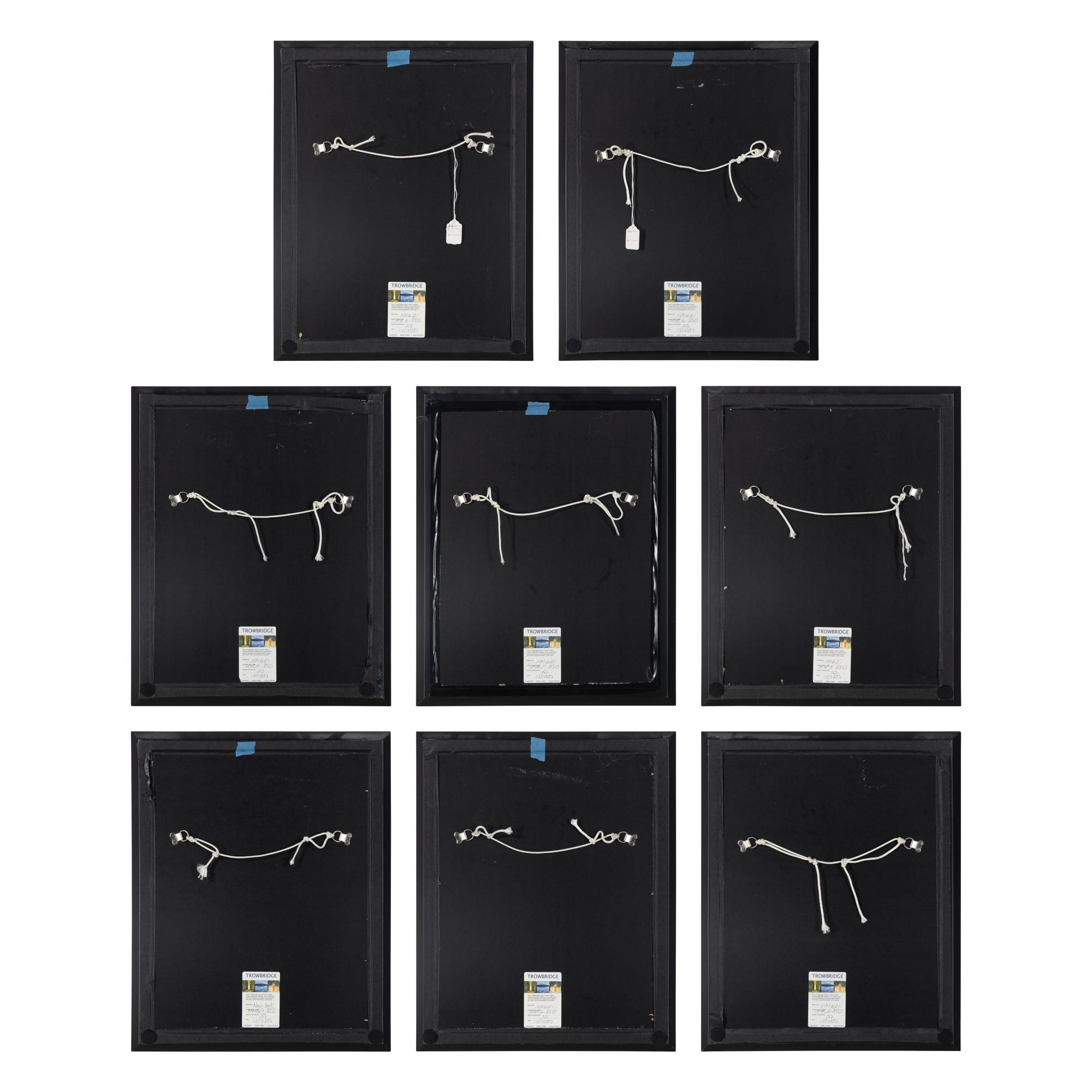 A Set of Eight Framed Botanical Prints