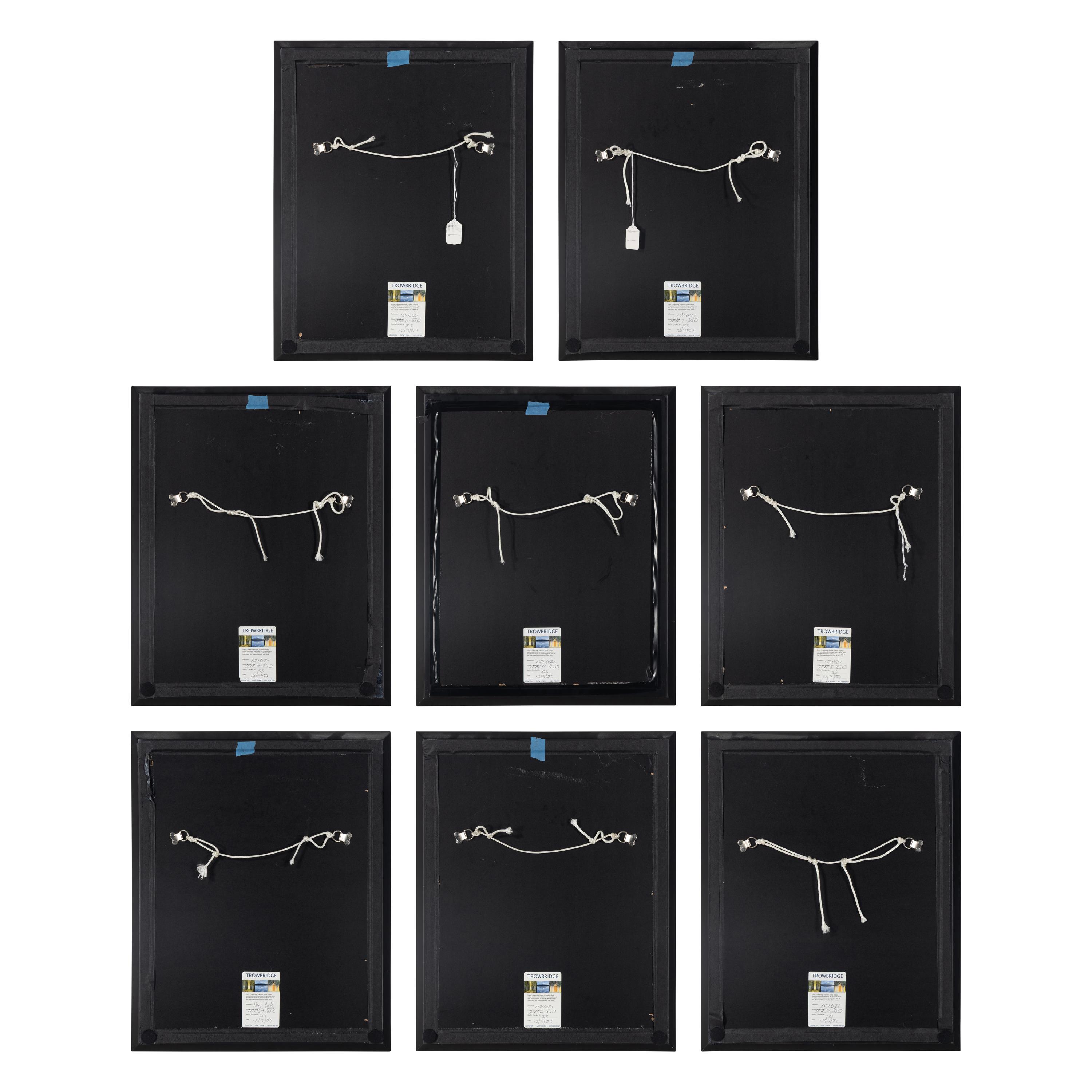 A Set of Eight Framed Botanical Prints