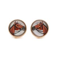 ESSEX CRYSTAL EARCLIPS