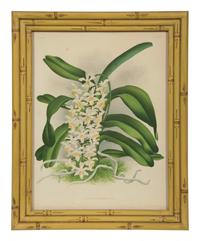 A Set of Twelve Framed Botanical Lithographs