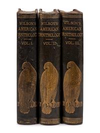 [Natural History] Wilson, Alexander and Charles Lucien Bonaparte. American Ornithology; or, The Natural History of the Birds of the United States