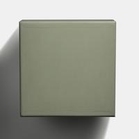 Celadon