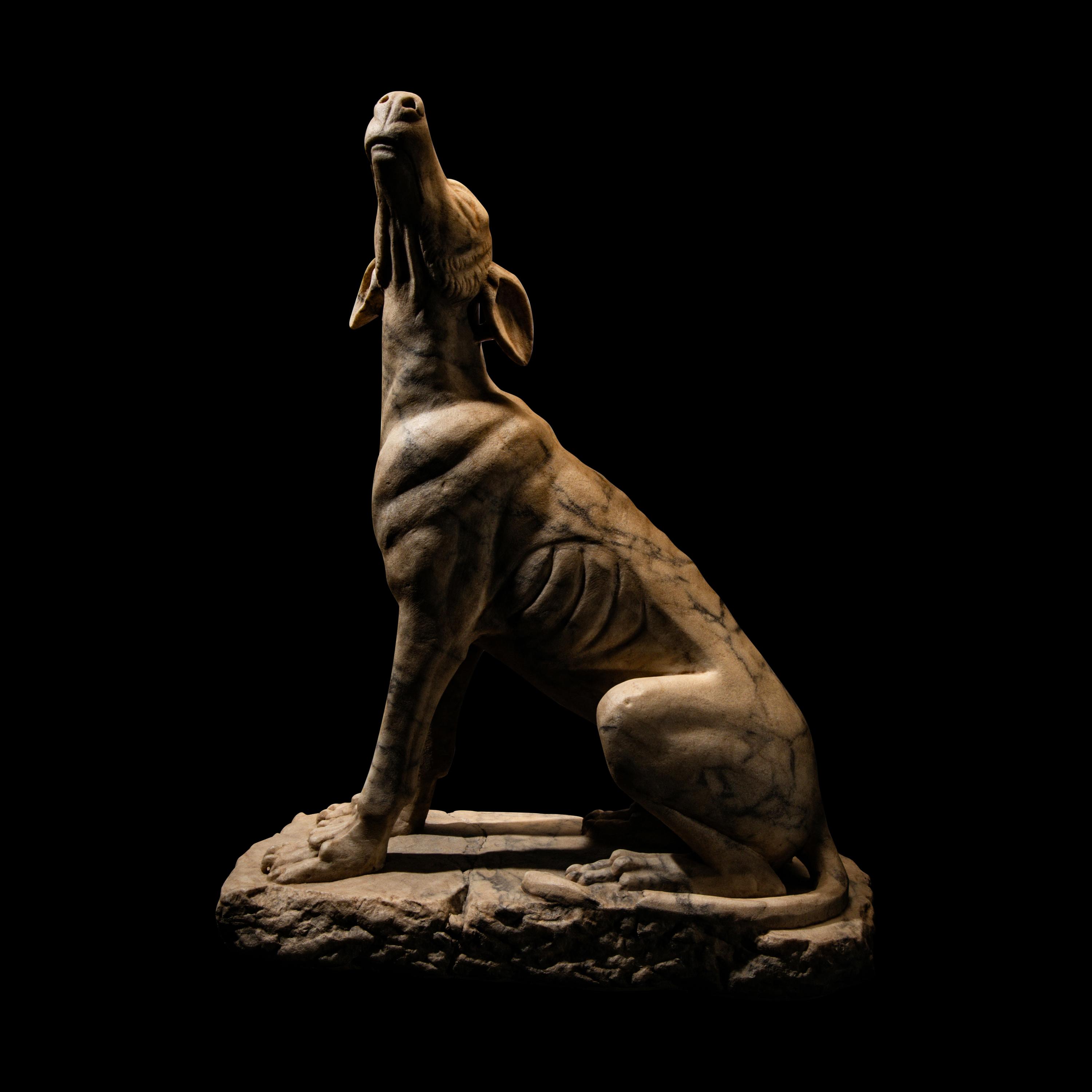 A Roman Pavonazzetto Marble Laconian Hound