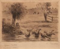 Gardeuse D'Oies