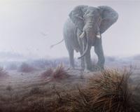 Denizen of the Mist