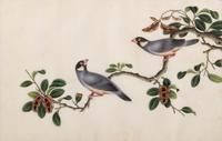 A Set of Twelve Chinese Export Watercolor and Pith Paintings