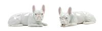 A Pair of Porcelain French Bulldogs Width 6 1/4 inches.